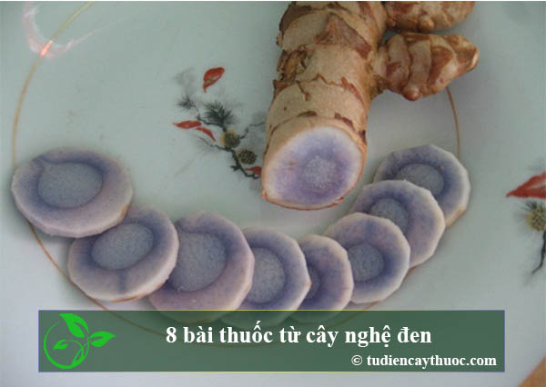 8 bài thuốc từ cây nghệ đen