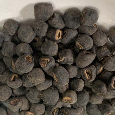 chuoi hot co don mua o dau chuoi hot co don mua o dau