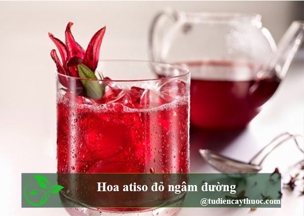 hoa atiso đỏ ngâm đường