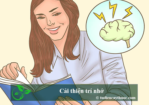 cải thiện trí nhớ