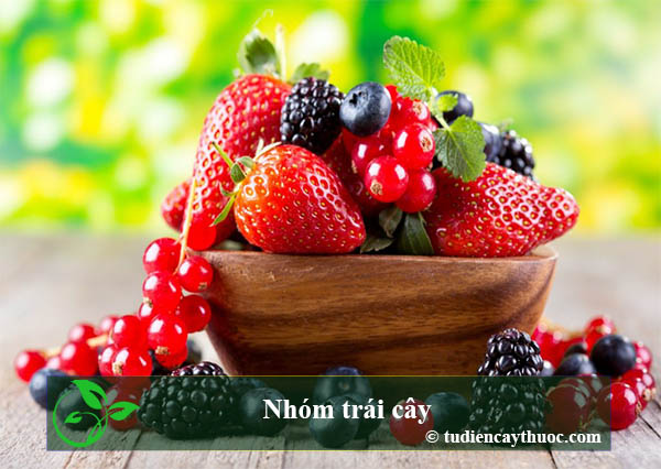 Nhóm trái cây Nhóm trái cây