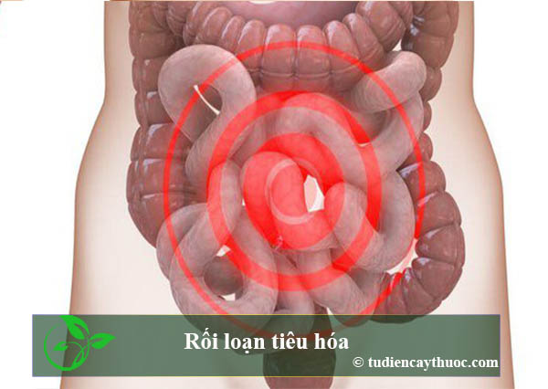 rối loạn tiêu hóa