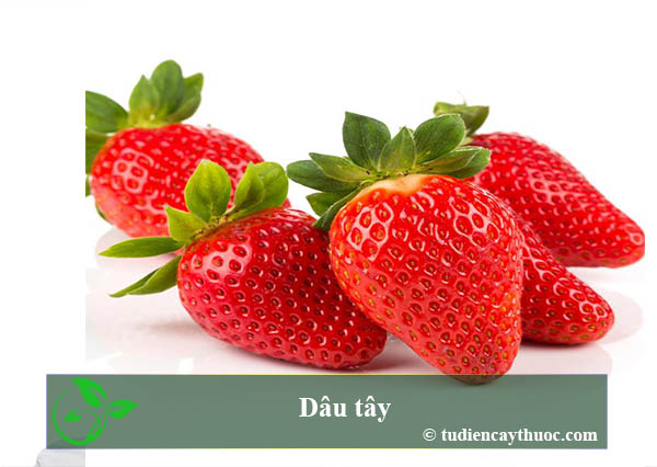 Dâu tây