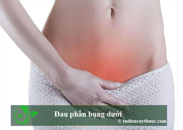 Đau bụng phần dưới