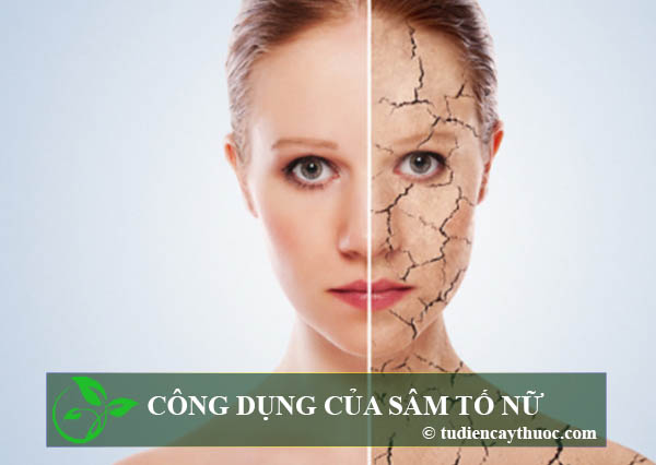 Chống oxy hóa Chống oxy hóa