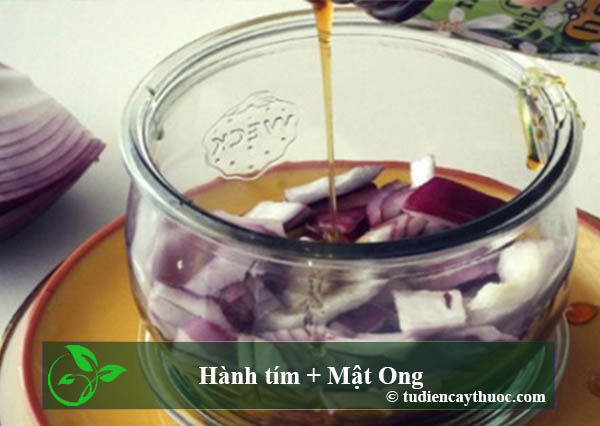 chữa viêm họng hạt bằng thuốc dân gian