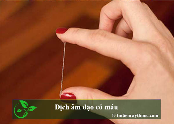 Dịch âm đạo có máu