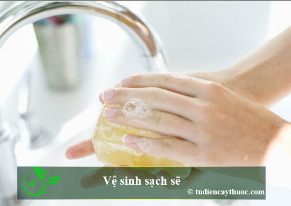 Vệ sinh sạch sẽ