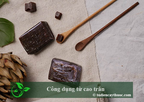 công dụng từ cao trăn công dụng từ cao trăn