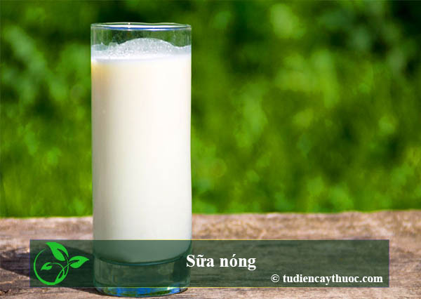 sữa nóng