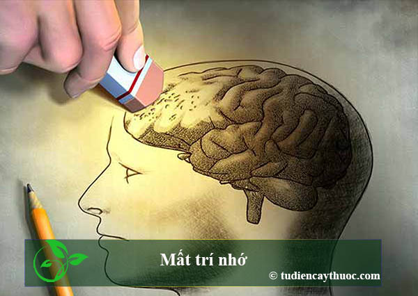 mất trí nhớ