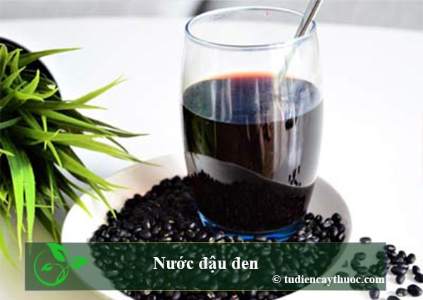 Uống nước đậu đen có tác dụng gì