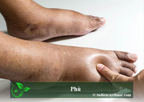 phù