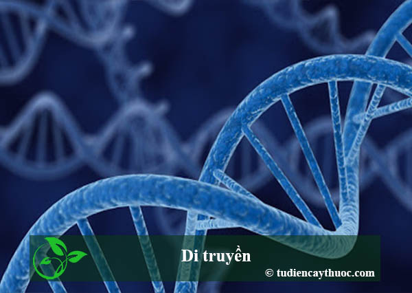 di truyền
