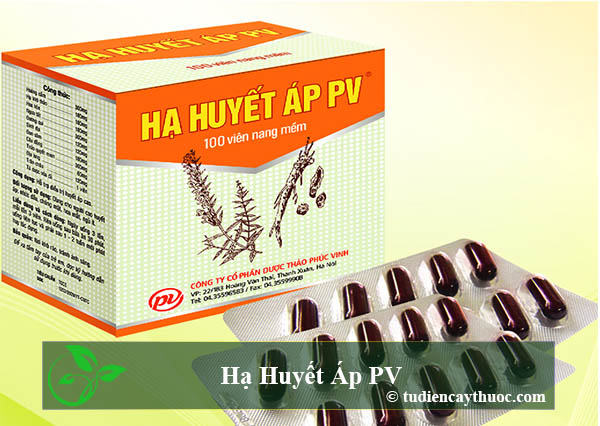 Hạ huyết áp pv Hạ huyết áp pv