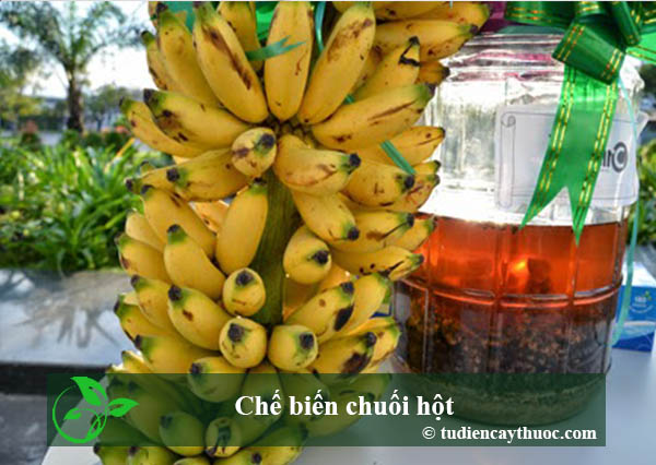 cách ngâm rượu chuối hột