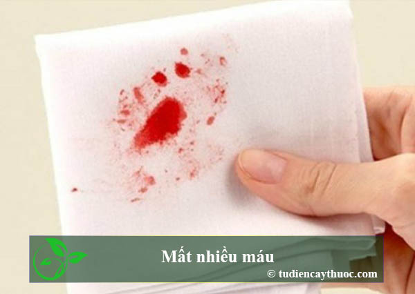 mất nhiều máu