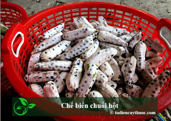 chế biến chuối hột chế biến chuối hột