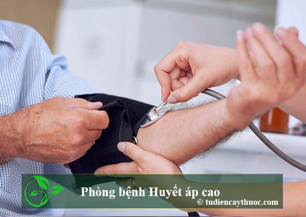 huyết áp cao