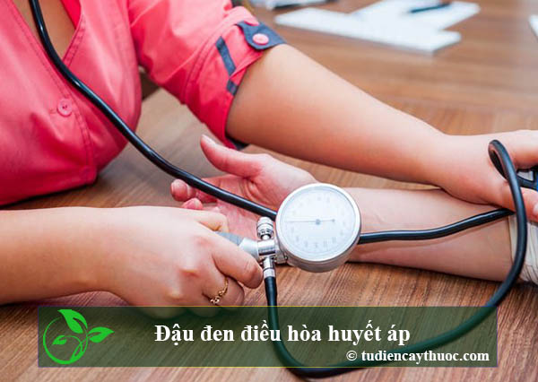 kiểm tra huyết áp