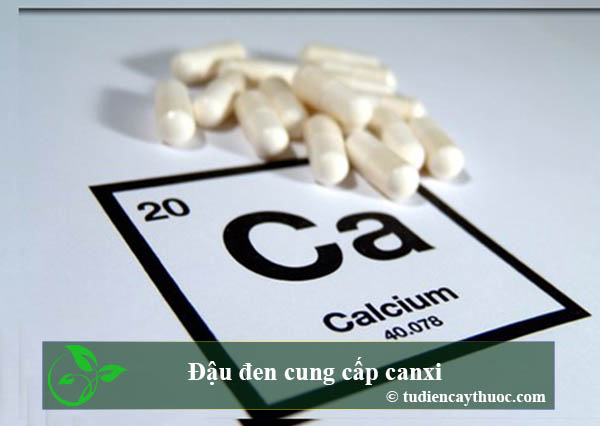 tác dụng của nước đậu đen