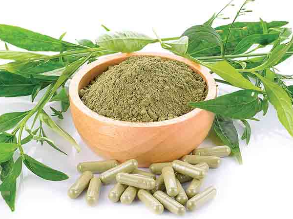 Công dụng của thuốc xuyên tâm liên dạng viên