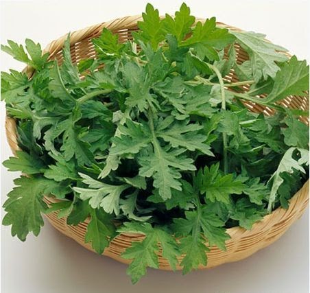 Cách trị viêm mũi bằng thuốc Nam 2