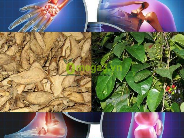 mua thuốc nam ở đâu tphcm mua thuốc nam ở đâu tphcm