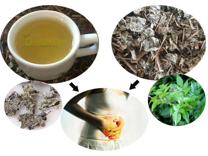 bán cây thuốc nam bán cây thuốc nam