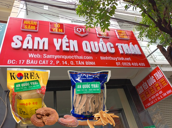 nấm linh chi tphcm